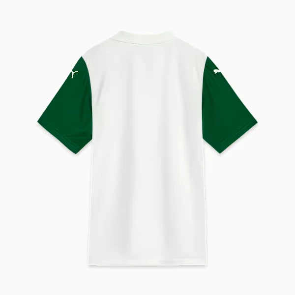 Palmeiras Away Kit 25/26 in Kenya